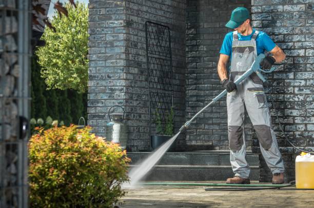 Best Spring Cleaning  in Luray, VA